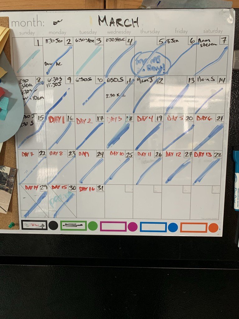 Quarantine - The First Few Weeks,  by JEN
